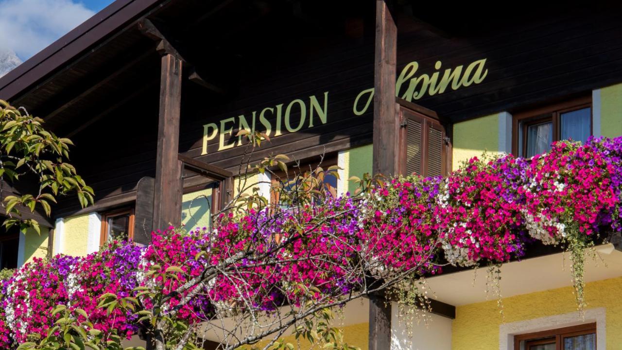 Cafe Pension Alpina Innsbruck Exteriör bild